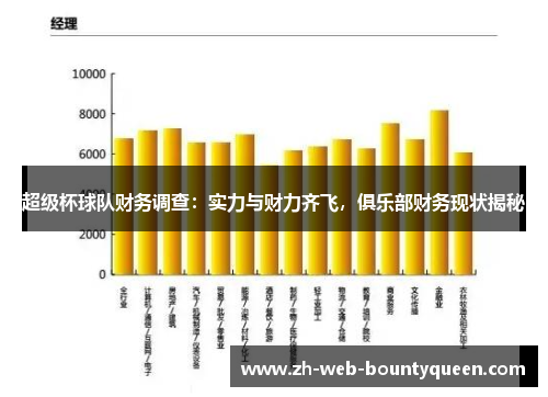 超级杯球队财务调查：实力与财力齐飞，俱乐部财务现状揭秘